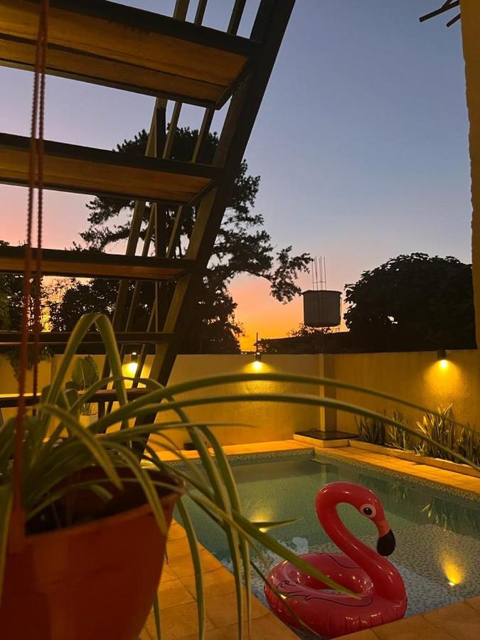 Colibri Hostel Пуерто-Іґуасу Екстер'єр фото